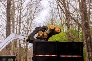 Tree removal debris being hauled away in Belle Chasse by professional crew