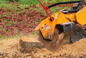 Stump grinding machine removing a tree stump and turning it into mulch during the stump grinding process