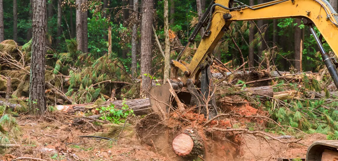 Machine land clearing