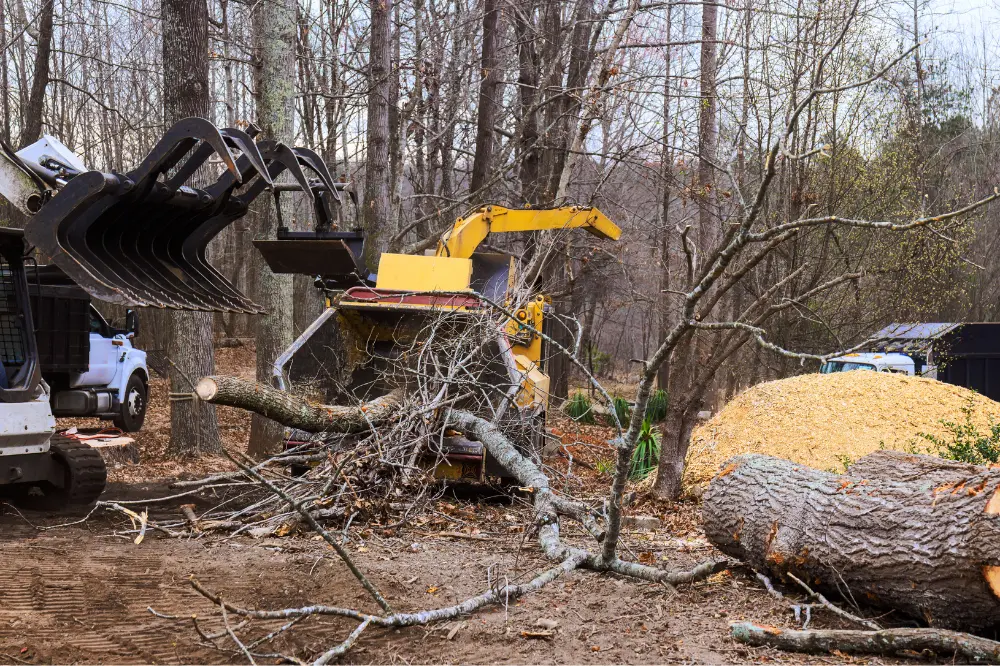 Machines land clearing in new orleans