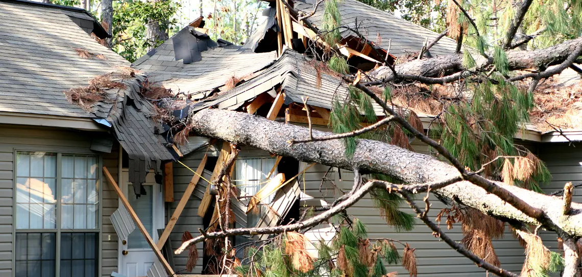 Tree fallen through roof of house after hurricane storm damage in New Orleans